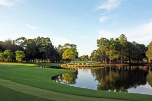 innisbrook-copperhead-landscape